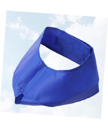 Shop Minkissy Fish Shells Dog Sweater & Glasses | Puppy Eye Flap & Cat Eye Mask - Blue Pet Apparel for Pets with Blindness - Buy Online on GoSupps.com