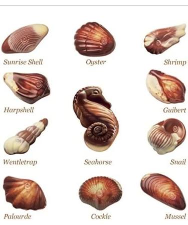 Guylian Seahorses Belgian Chocolates Original Praline 32 Chocolates 336g - Last Minute Gifts For Mum & Dad Chocolate Gifts For Women & Men Suitable For Vegan - Buy Online on GoSupps.com