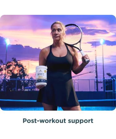 Ancient Nutrition Grass Fed Whey Protein + Fat Loss Blend Vanilla Cinnamon 23g Protein Promotes Fat Loss and Boost Metabolism Organic Regenerative A2/A2 Milk Protein 18 Servings - Buy Online on GoSupps.com