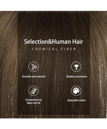 Clip on Bangs for Women French Age-Defying Bangs Hair Clip Natural Clip In Bangs Short Straight Fake Bangs with Temples Hairpieces for Halloween Parties#2/30 Brown - Buy Online on GoSupps.com