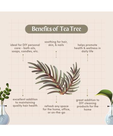 Buy Tea Tree Essential Oil - 100% Pure 8 fl oz in Aluminum Bottle | GreenHealth - International Shipping Available - Buy Online on GoSupps.com