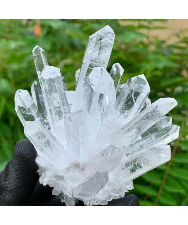 Natural Crystal Rough Natural White Clear Rock Quartz Crystal Clusters Specimen Stone Mineral Specimen - Buy Online on GoSupps.com