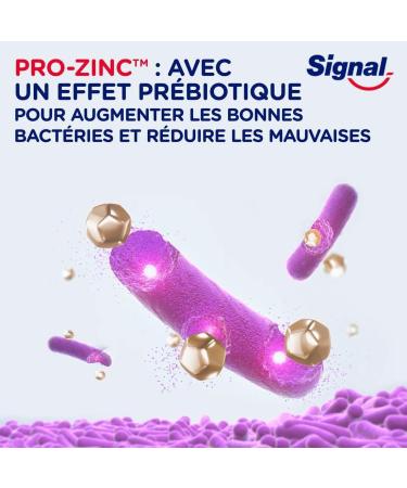 SIGNAL - Dentifrice Integral 8 Complet Effet Pr biotique - Protection Compl te 3x plus efficace -96% d ingr dients d origine naturelle (lot de 4x75ml) 75 ml (Lot de 4) purple - Buy Online on GoSupps.com