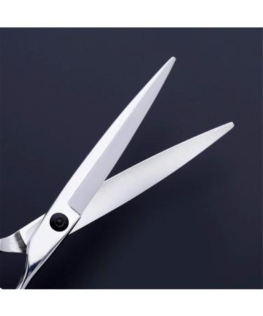Hair Scissors Hairdressing Scissors Stainless Steel Blade Sharp Hair Scissors Hair Scissors Professional Cutting Scissor for Barber Stylist 6 Inch - Buy Online on GoSupps.com