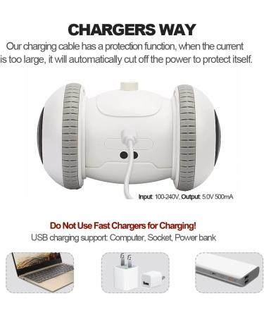 Nueplay Interactive Cat Toys with LED Light | Smart Electric Toy for Indoor Cats | USB Rechargeable Robotic Toy with Feathers | 2 Modes for Pet Exercise - Buy Online on GoSupps.com