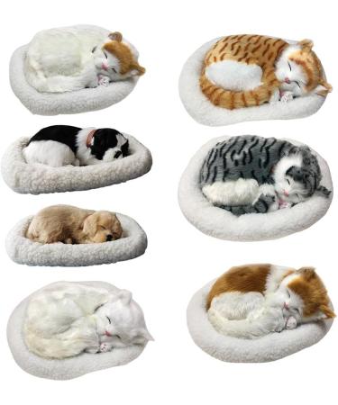 Bagima Sleeping Cat Toys | Breathing Plush Cat Dolls & Soft Mats | Perfect Home D cor & Kids' Gifts - Buy Online on GoSupps.com