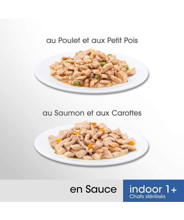 PERFECT FIT Sterilized Indoor Cat Food - 52 Freshness Sachets (Pack of 13 Packs 4x85g) - Cat Food in Sauce - Salmon/Chicken - - Buy Online on GoSupps.com