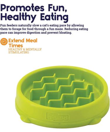Petstages Kitty Slow Feeder Cat Bowl - Green | Slow Down Eating Habits for Healthy Cats - Buy Online on GoSupps.com
