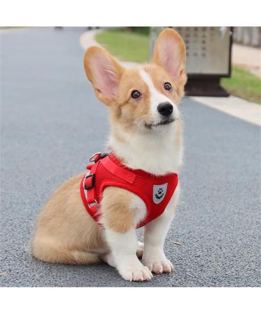 LOOK ANDE HOUSE Reflective Soft Padded Dog Dishes for Small Dogs & Cats - Air-Mesh Design with Leash - XS Red (Chest 24-27cm) - Buy Online on GoSupps.com