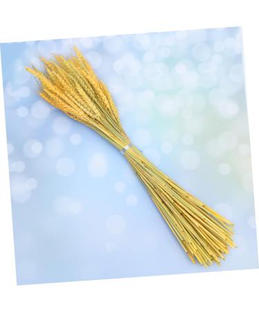 MAGICLULU 1 Decor Natural Wheat Rural Wheat Dried Wheat Simulation Wheat Dried Flowers Bouquet - Buy Online on GoSupps.com