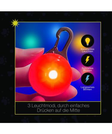 Buy Avida Zen Flashing Light Schoolbag for Kids - 6er Set with Dog Clip-On 3 Light Modes & Reflectors for Safety - Buy Online on GoSupps.com