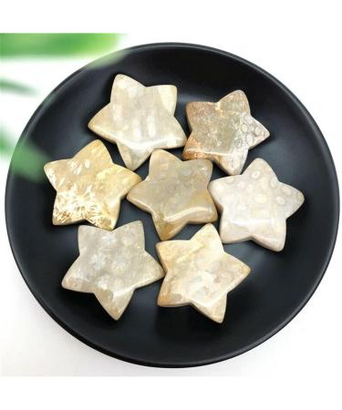 1 Piece Natural Coral Ammonite Star Crystal Stone Suitable for Home Chakra Reiki Balancing - Buy Online on GoSupps.com