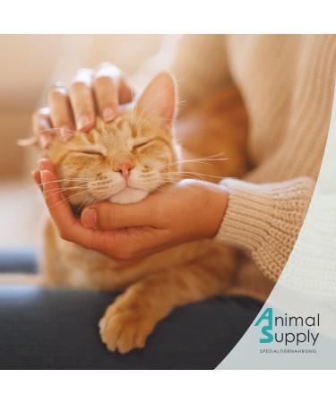 Animal Supply Ohr Milben Oil for Pets - 50ml | Effective Ear Mite Treatment for Dogs Cats & Pets with Chamomile - Soothing Relief for Itchy Ears - Buy Online on GoSupps.com