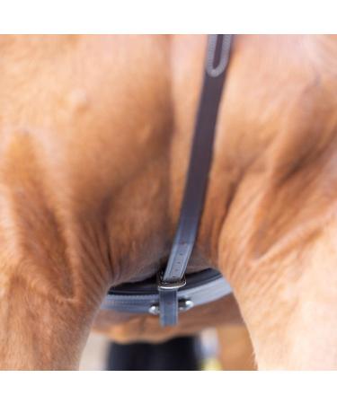 Equinavia Saga Leather Standing Martingale - Adjustable | Stainless Steel Hardware | Chocolate Brown Cob Size - Buy Online on GoSupps.com