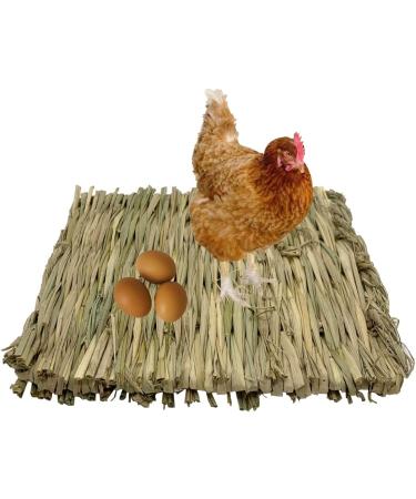 Handwoven Grass Nesting Box Pads for Chickens and Small Animals - Set of 6 Natural Straw Mats - Buy Online on GoSupps.com