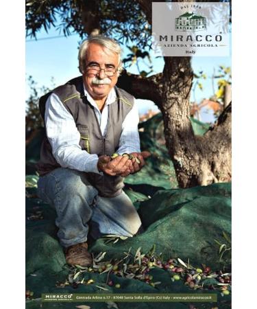 100% Italian Organic Extra Virgin Olive Oil 1 Bottle 500 Ml - Buy Online on GoSupps.com