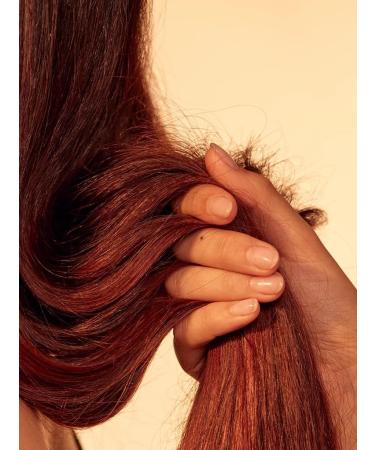 khadi NEEM BALANCE Ayurvedic Elixir Shampoo soothes irritated and flaky scalps 100% natural vegan and free of synthetic ingredients Certified natural cosmetics 200ml - Buy Online on GoSupps.com
