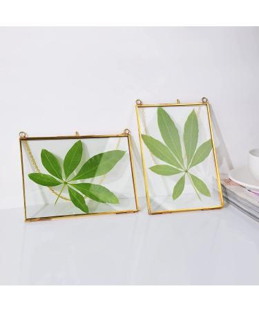 TLBTEK 2 pcs Hanging Photo Frames - 5x7 inch Double Glass Frames for Pressed Flowers - Vintage DIY Artwork Display - Wall Mounted Photos Frame - Horizontal and Vertical Display - Clear Glass - Buy Online on GoSupps.com