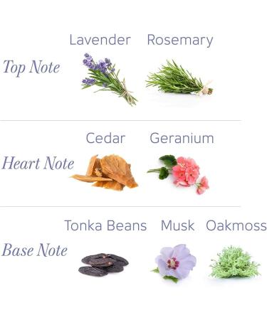 Yardley London Fresh Floral Fragrance Locked in a Fine & Silky Perfumed Talcum Powder (Yardley London English Lavender Pack of 2 250Gram) - Buy Online on GoSupps.com