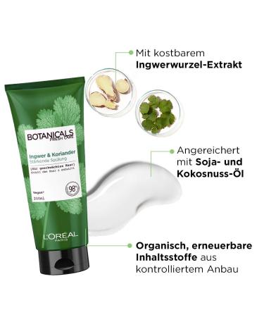 Vegan Botanical Strengthening Conditioner - Sulfate & Paraben-Free for Weakened Hair Ginger & Coriander 200 ml | Natural Cosmetics - Buy Online on GoSupps.com