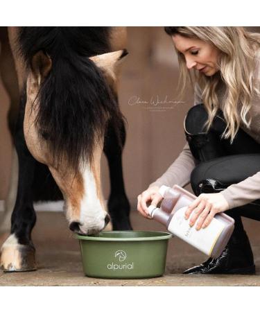 Alpurial Tendon Strong - Veterinary-Developed Liquid 1L for Horse Tendon & Ligament Support - International Shipping Available - Buy Online on GoSupps.com