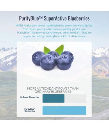 Purity MagBlue + B12 Energy Melt with Magnesium Bisglycinate, Vitamin D3, Blueberries - B12 Berry Melt with Methylcobalamin B12, B6, D3 - Buy Online on GoSupps.com