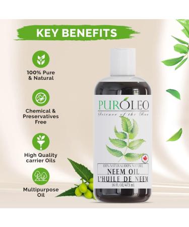 PUROLEO NEEM Oil 16 Fl Oz/473 ML (Packed In Canada) Pure and Natural Neem Oil for Multipurpose Use | Neem Oil extracted from NEEM Plante Chemical free Neem Oil Spray 473 ml (Pack of 1) - Buy Online on GoSupps.com