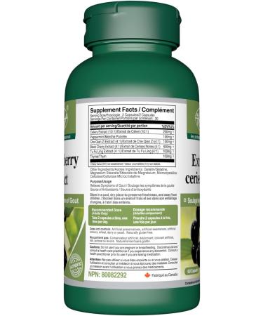 Black Cherry Extract 600mg 3 X 60 Capsules with Thyme Peppermint and Celery Gout Pain Relief Treatment Uric Acid Supplement | Tart Cherry Alternative | 3 Bottles 60 count (Pack of 3) - Buy Online on GoSupps.com