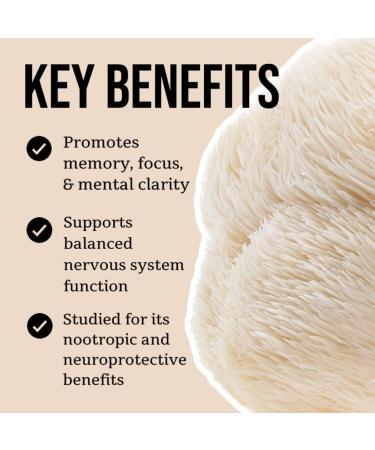 North Spore Organic Lion's Mane Mushroom Tincture (4 oz) | 100% Fruiting Body Extracts | for Focus, Memory, Brain Support | Certified Organic, Vegan, Non-GMO | Adaptogenic, Nootropic | Made in USA 4 Fl Oz (Pack of 1) - Buy Online on GoSupps.com