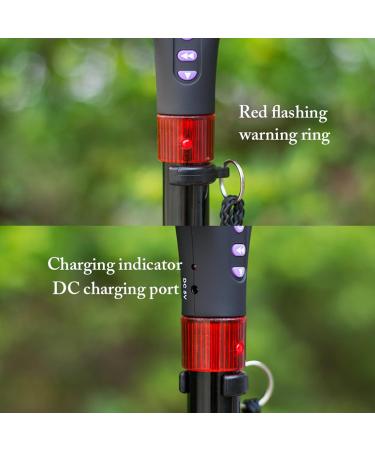 Walking Cane with Light Canes Led Light Alarm Walking Stick with Light Folding Cane with Led Light Walking Canes for Seniors Travel Adjustable Cane with Alarm Led Light Radio - Buy Online on GoSupps.com