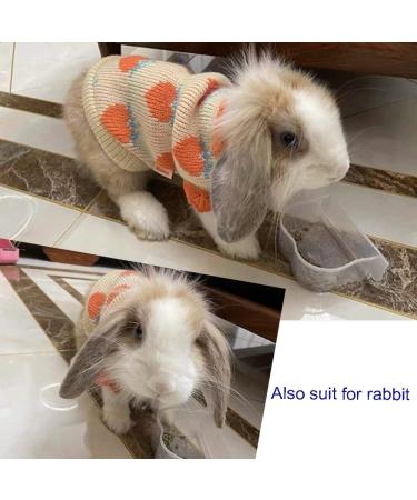 Aniac Small Orange Cat Sweater - Cozy Vest for Small Dogs and Kittens - Winter Knitwear for Cold Seasons and Spring - Buy Online on GoSupps.com