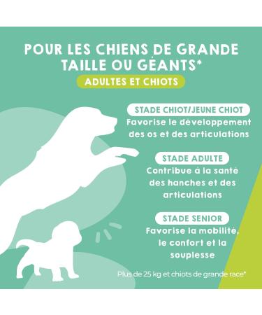 MAIKAI Anti-Osteoarthritis Tablets for Large Dogs - 120 tablets - Food supplement concentrated in Glucosamine Chondroitin MSM Omega 3 and Hyaluronic Acid - Strengthens Joints - Buy Online on GoSupps.com