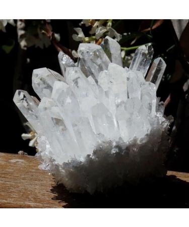 Gemstones for Decoration Natural White Quartz Cluster SpecimenHome Decoration Aura (Size : 150-200g) Natural Stones (Size : 300-400g) Natural Luster (Size : 300-400g) - Buy Online on GoSupps.com