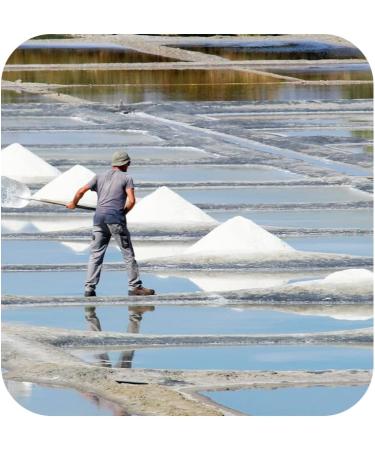 IonicMin - 73+ Purified Ionic Minerals from The Dead Sea | High Electrolyte, Low Sodium, Low Sulfate | Mineral Supplements - 8 fl. oz - Buy Online on GoSupps.com