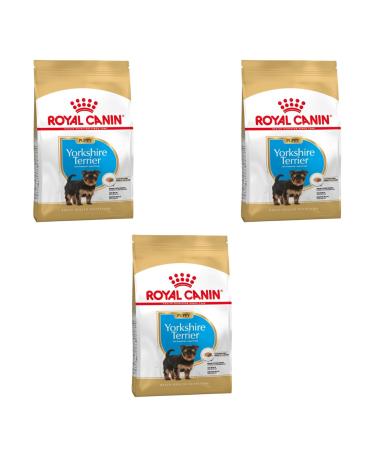 Royal Canin Yorkshire Terrier Puppy | Pack of 3 | 3 x 500 g | Dry food for Yorkshire Terrier puppies | for Immune system support | for a beautiful coat and healthy teeth