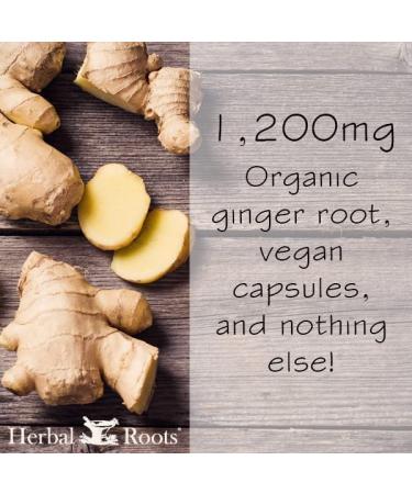 Organic Ginger Root Capsules | Digestive Aid & Immune Support | 60 Vegan Capsules | Made in USA - Buy Online on GoSupps.com