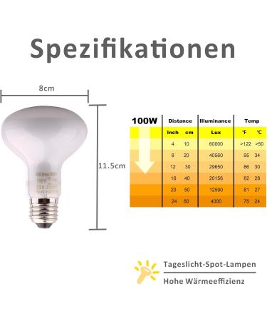 Dernord 150W Basking Thermal Ramp - Reptile Heat Lamp & Turtle Light Bulb (2-pack) for Bearded Dragons Snakes & More - Buy Online on GoSupps.com