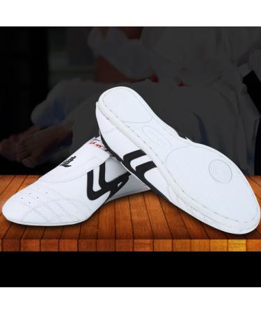 Buy Breathable Non-Slip Taekwondo Shoes for Men & Women | Lightweight Sports Boxing & Kung Fu Footwear (Size 43) - International Shipping - Buy Online on GoSupps.com
