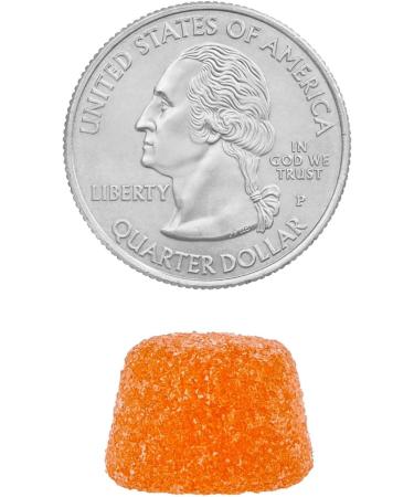 AGILIPET Equate Probiotic + Prebiotic Gummies 500 Million CFU Peach Flavor 30 Count Sticker - Buy Online on GoSupps.com