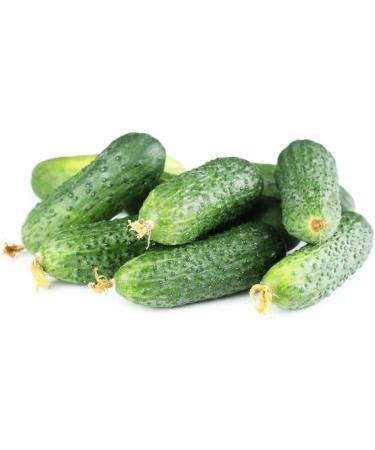 Cucamber"Pickle of Paris" - ideal for pickles - 70 seeds - Buy Online on GoSupps.com