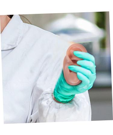 Beavorty 3 Pcs Human Ear Model Set | Silicone Ear Models for Studs | Simulation Piercing Ear Display Prop 6.5x3.5cm (Coffee, 3pcs) - Buy Online on GoSupps.com