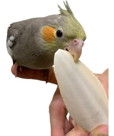 Pack of 4 Medium Cuttlebones for Birds, Tortoise, Snails, and Parakeets - Calcium Block Alternative for All Breeds - 3.5 to 4 Inches - Buy Online on GoSupps.com