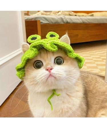 Zhouocea 1 PCS Cat Hat Cute Frog Shape Pet Cap Halloween Cat Kitten Halloween Costumes Cat Birthday Hat for Christmas Birthday - Buy Online on GoSupps.com