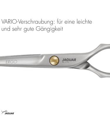 Jaguar Scissor Pre-Style Ergo 12.7 cm - Professional Hair Cutting Tool - Buy Online on GoSupps.com