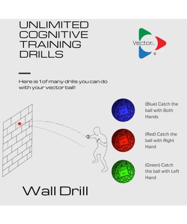 Vector Ball: Cognitive Vision & Neuro-Visual Training Tool for Improved Reaction Speed, Agility, Coordination, and Focus in Sports, Exercise, and Fun for All Ages - Buy Online on GoSupps.com