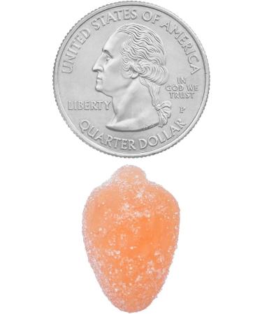 AGILIPET Equate Kids Multivitamin Gummies Complete Daily Multivitamin for Children 2+ Natural Fruit Flavor 300 Count Vegetarian Sticker - Buy Online on GoSupps.com