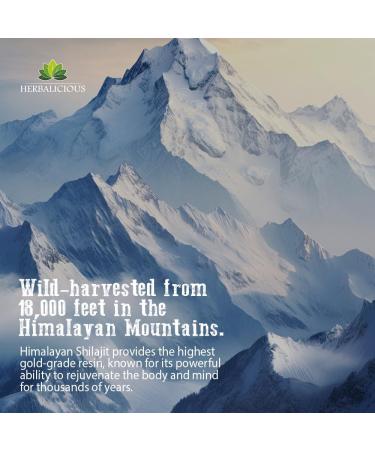 Shilajit for Men 8-in-1 Adaptogenic Supplement with Ashwagandha Cordyceps Ginseng Rhodiola Turmeric Chaga & Ginger Natural Energy Stress Relief & Immune Support 120 Vegan Capsules - Buy Online on GoSupps.com