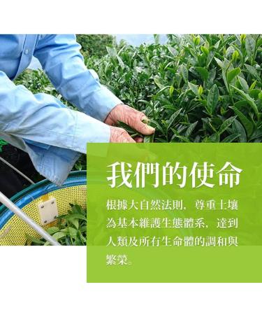 Taiwan unique tea Alishan fragrant fresh oolong tea 150g*4 - Buy Online on GoSupps.com