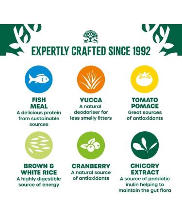 James Wellbeloved Senior Fish 1.5 kg Bag Hypoallergenic Dry Cat Food Fish (Old Design) 1.5 kg (Pack of 1) - Buy Online on GoSupps.com