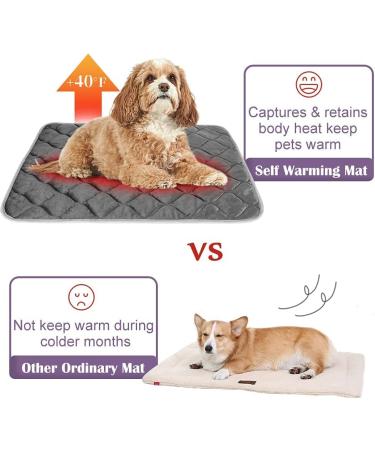 Self-Heating Cat Mat - Thermal Pet Bed Mat - 16 x 20 - Grey - Buy Online on GoSupps.com